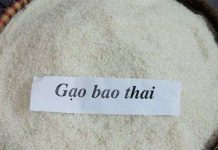 Phục tráng thành công giống lúa Bao thai Chợ Đồn