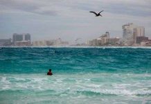 Sức khỏe đại dương đang sụt giảm nghiêm trọng