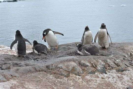 8 hậu quả chưa biết của biến đổi khí hậu