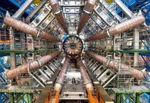 Sẽ tìm thấy “Hạt của Chúa” trong một năm tới