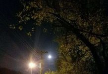 Sinh vật kỳ bí xuất hiện đêm trăng tròn khiến cả mạng xã hội tá hỏa