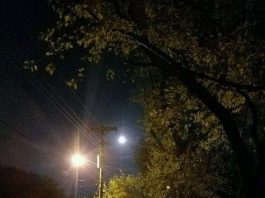 Sinh vật kỳ bí xuất hiện đêm trăng tròn khiến cả mạng xã hội tá hỏa