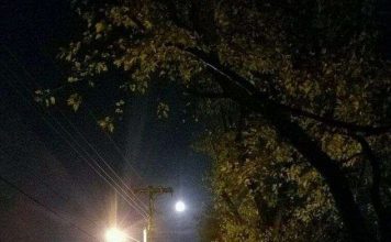 Sinh vật kỳ bí xuất hiện đêm trăng tròn khiến cả mạng xã hội tá hỏa