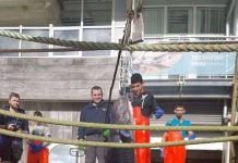 Bắt được lươn khổng lồ cao hơn xe bus 2 tầng