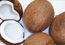 Giảm cơn khát điện bằng quả dừa Giảm cơn khát điện bằng quả dừa