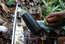 Congo: phát hiện đầm lầy lớn chứa hàng tỷ tấn than bùn