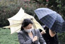 Siêu bão Roke tàn phá Nhật Bản, 4 người chết Siêu bão Roke tàn phá Nhật Bản, 4 người chết