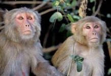 Chơi game bằng ý nghĩ