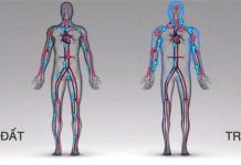 Chiều cao của phi hành gia tăng 5cm sau 1 năm sống trên vũ trụ