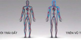 Chiều cao của phi hành gia tăng 5cm sau 1 năm sống trên vũ trụ