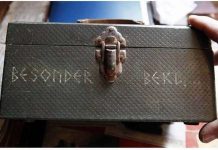 Phát hiện 2 đầu lâu bí ẩn nghi của người ngoài hành tinh