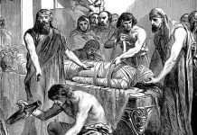 Rùng mình "thú" ăn thịt xác ướp thời cổ đại