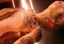 Giám đốc NASA tin có người ngoài hành tinh