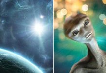 NASA: Sẽ tìm thấy sự sống ngoài hành tinh trong 10 năm tới NASA: Sẽ tìm thấy sự sống ngoài hành tinh trong 10 năm tới