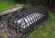 Hài cốt ma cà rồng lộ diện tại Ba Lan