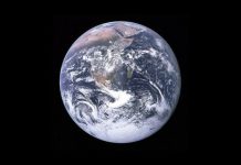 Trái Đất đang ở trong đợt "đại tuyệt chủng" thứ 6