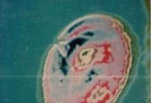 Australia công bố tài liệu mật về UFO