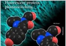 Nền tảng cấu trúc trong khả năng bật tắt ánh sáng của protein huỳnh quang Nền tảng cấu trúc trong khả năng bật tắt ánh sáng của protein huỳnh quang