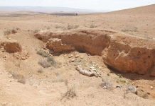 Sáng tỏ những bí ẩn về thành phố cổ Palmyra Sáng tỏ những bí ẩn về thành phố cổ Palmyra