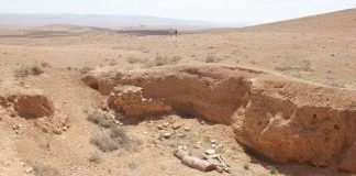 Sáng tỏ những bí ẩn về thành phố cổ Palmyra