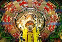 Máy gia tốc hạt lớn đột ngột dừng hoạt động do chồn cắn đứt dây điện Máy gia tốc hạt lớn đột ngột dừng hoạt động do chồn cắn đứt dây điện