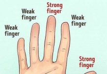 Hình dáng bàn tay có thể nói lên tính cách của một người