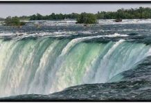 Cấy gene người vào chuột Những thác nước ngoạn mục nhất