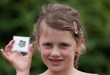 Cô bé 7 tuổi tìm được “bùa” siêu may mắn