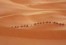 Sa mạc và cuộc xâm lăng hành tinh xanh Sa mạc và cuộc xâm lăng hành tinh xanh