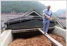 Tiềm năng của lâm nghiệp đô thị