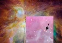 “Cặp sao song sinh” rất khác nhau