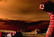 Bí ẩn 'loài sâu tử thần' có thể giết chết người mà không cần cắn