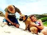 Vuốt ve giúp vật nuôi thư giãn