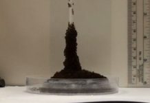 Kiến lửa kết thành tháp cao kiên cố vượt chướng ngại vật Kiến lửa kết thành tháp cao kiên cố vượt chướng ngại vật