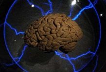 Người nói được nhiều ngôn ngữ sẽ thông minh hơn?