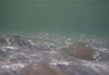 Núi lửa dưới đáy biển có thể phát nổ