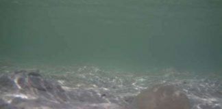 Núi lửa dưới đáy biển có thể phát nổ