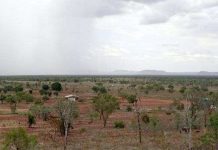 Các khu vực khô cằn trên trái đất xanh tươi hơn nhờ nồng độ CO2 gia tăng