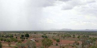 Các khu vực khô cằn trên trái đất xanh tươi hơn nhờ nồng độ CO2 gia tăng