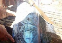 Ngư dân đánh bắt được cá lớn với những hoa văn bí ẩn trên mình cá Ngư dân đánh bắt được cá lớn với những hoa văn bí ẩn trên mình cá