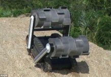 Mỹ tung đội quân kiến máy tìm sự sống ngoài địa cầu