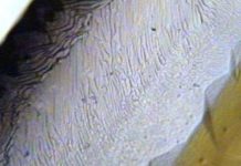 Kim cương nhân tạo và một số tiến bộ của ngành công nghiệp kim hoàn