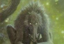 Quái vật Chupacabra trở lại Mexico