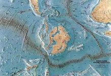 Khám phá các dạng sự sống mới ở Nam Đại Dương