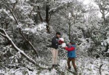 Đài Loan: 52 người chết trong đợt rét khủng khiếp Đài Loan: 52 người chết trong đợt rét khủng khiếp