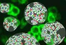 Sử dụng hạt nano tìm tế bào ung thư