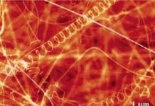 Dây cáp biến ánh sáng thành điện