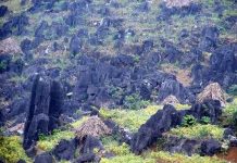 10 sự kiện tài nguyên và môi trường nổi bật 2010