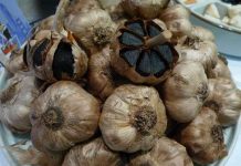 Lên đời cho tỏi Lý Sơn