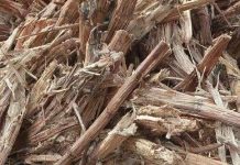 Chế tạo dầu diesel từ bã mía Chế tạo dầu diesel từ bã mía